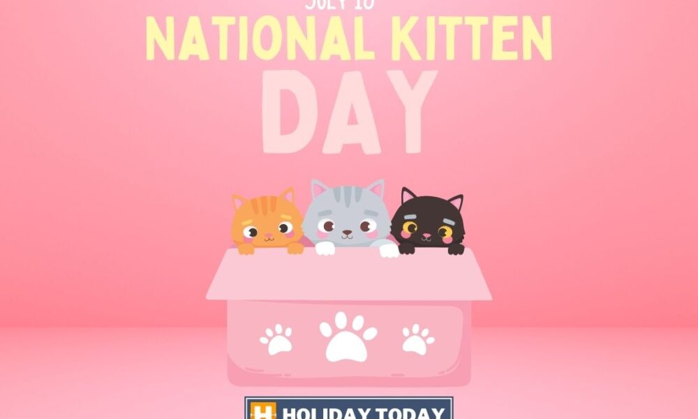 National Kitten Day