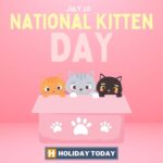 National Kitten Day