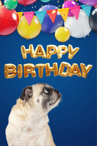 Happy Birthday 10