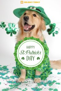 happy st patricks day 13