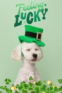 happy st patricks day 14