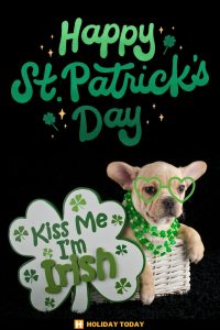 happy st patricks day 15
