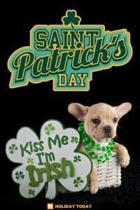 happy st patricks day 16