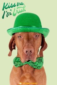 happy st patricks day 19