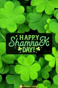 happy st patricks day 6