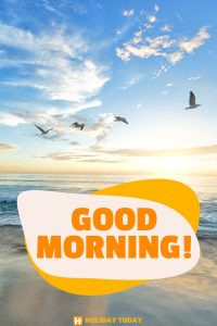 good morning 6 6 3 1