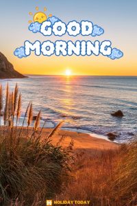 good morning 6 6 3 8