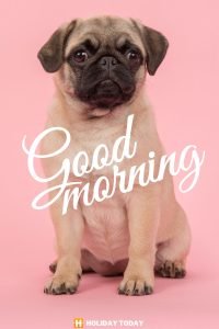 good morning 9 6 3 7