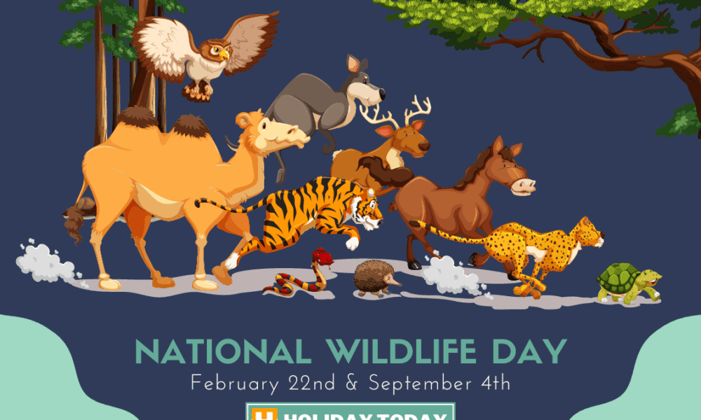 National Wildlife Day