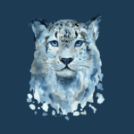 International Snow Leopard Day