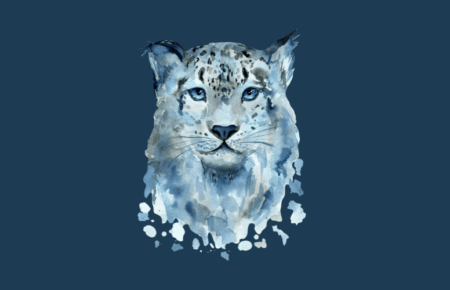 International Snow Leopard Day