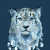 International Snow Leopard Day Icon
