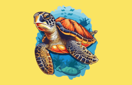 Turtle Adoption Day