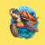 Turtle Adoption Day Icon