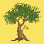 World Olive Tree Day
