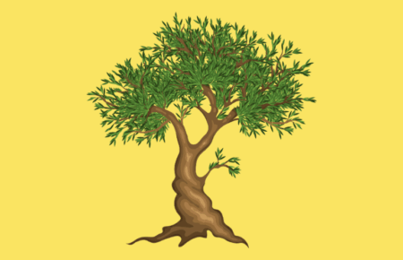 World Olive Tree Day