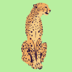International Cheetah Day