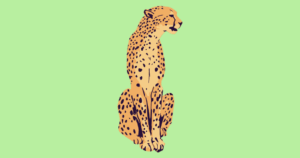 International Cheetah Day