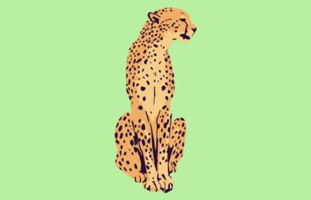 International Cheetah Day