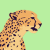 International Cheetah Day Icon