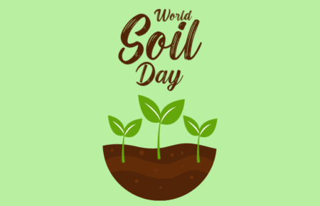 World Soil Day