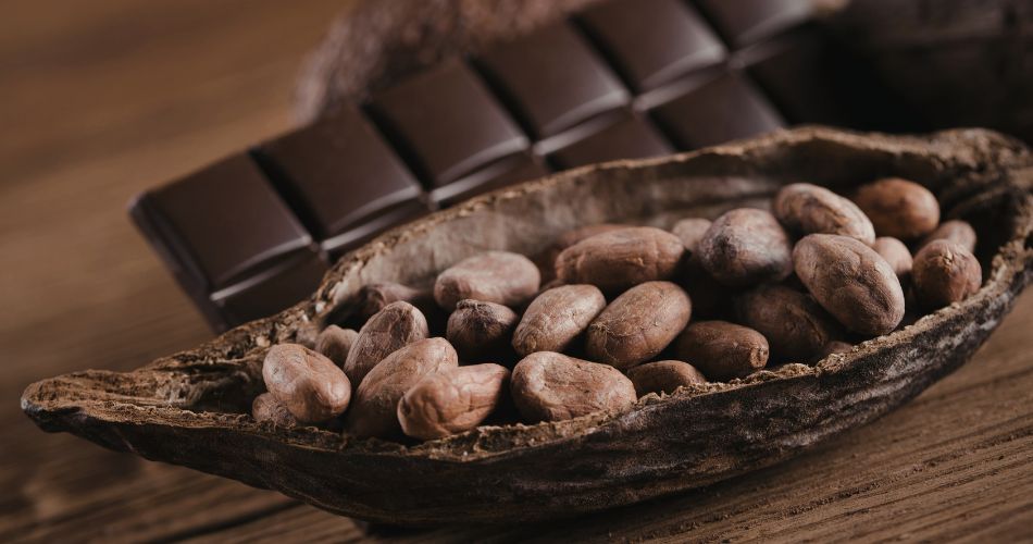 Interesting Facts About Dark Chocolate