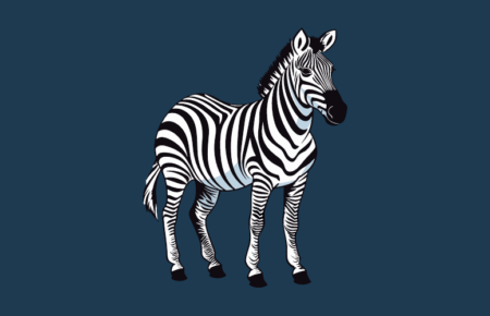 International Zebra Day