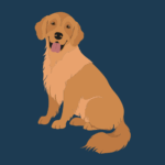 National Golden Retriever Day