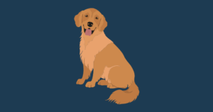 National Golden Retriever Day