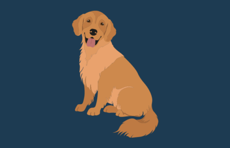 National Golden Retriever Day