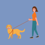 National Walking the Dog Day