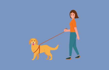National Walking the Dog Day