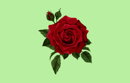 Rose Day