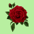 Rose Day Icon