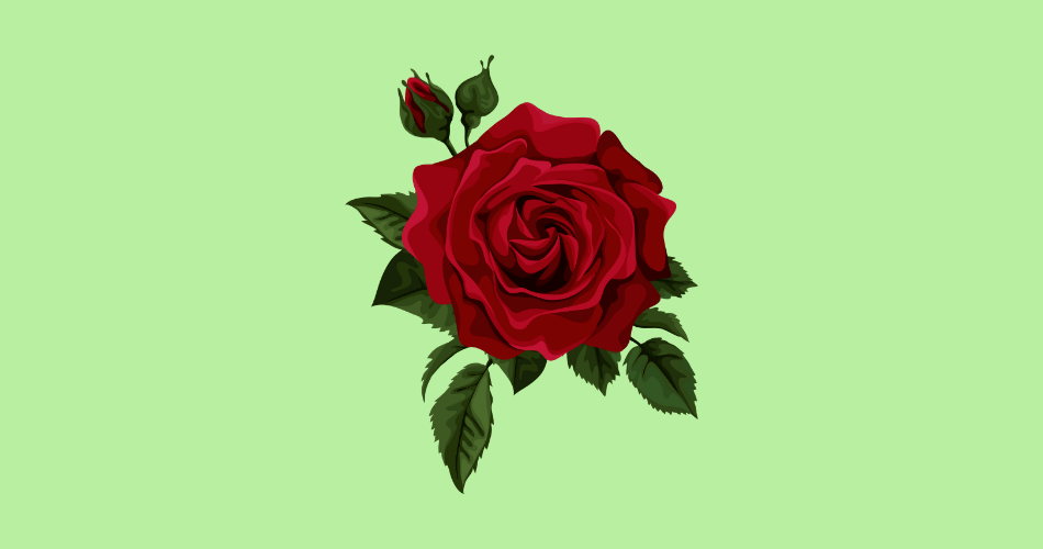 Rose Day