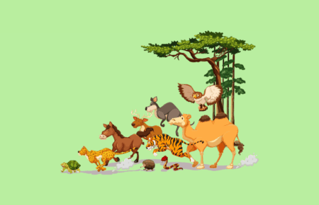 World Wildlife Day