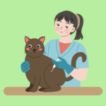 National Take Your Cat to the Vet Day