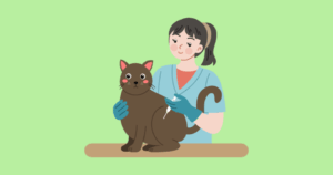 National Take Your Cat to the Vet Day