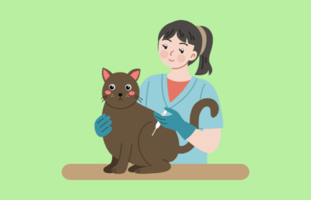 National Take Your Cat to the Vet Day