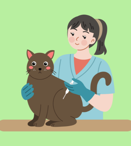 National Take Your Cat to the Vet Day