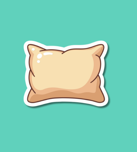 International Pillow Fight Day