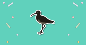 World Curlew Day