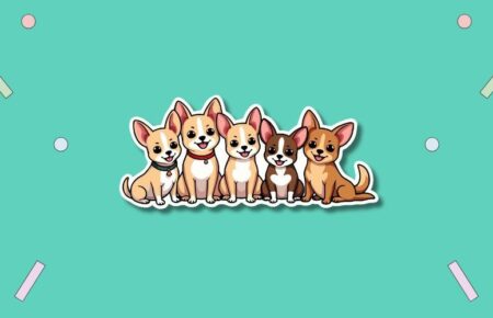 International Chihuahua Appreciation Day