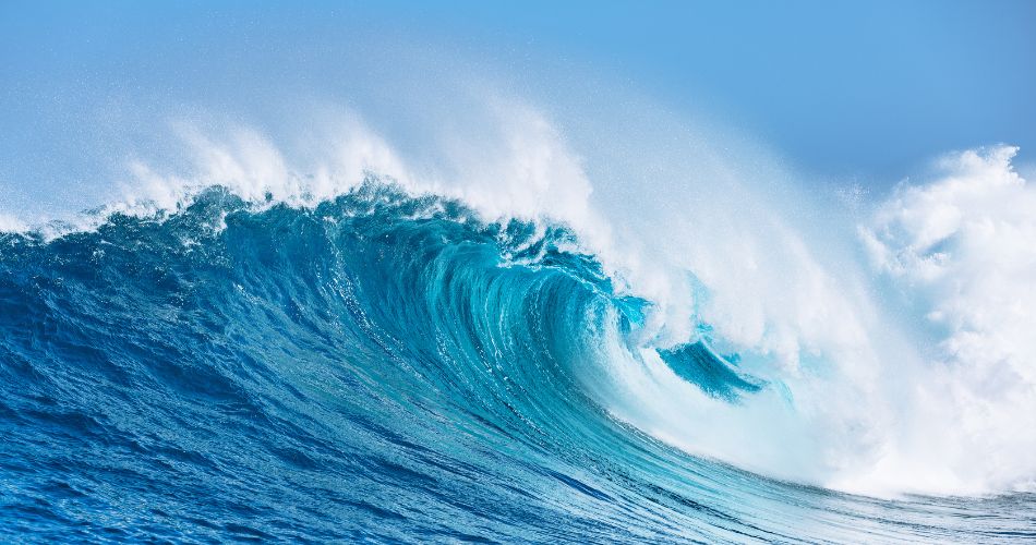Ocean Wave