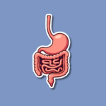 World Digestive Health Day