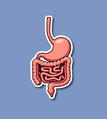 World Digestive Health Day