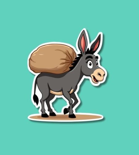 World Donkey Day