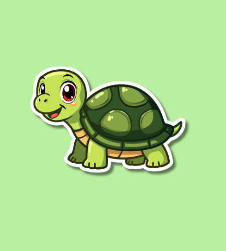 World Turtle Day