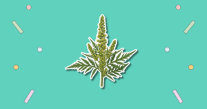 International Ragweed Day