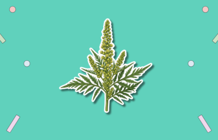 International Ragweed Day